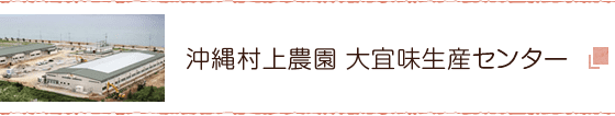 沖縄村上農園大宜味生産センター