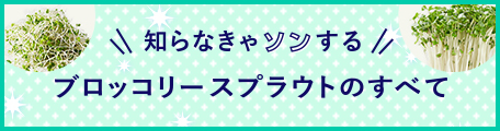 知らなきゃソンするブロッコリースプラウトのすべて